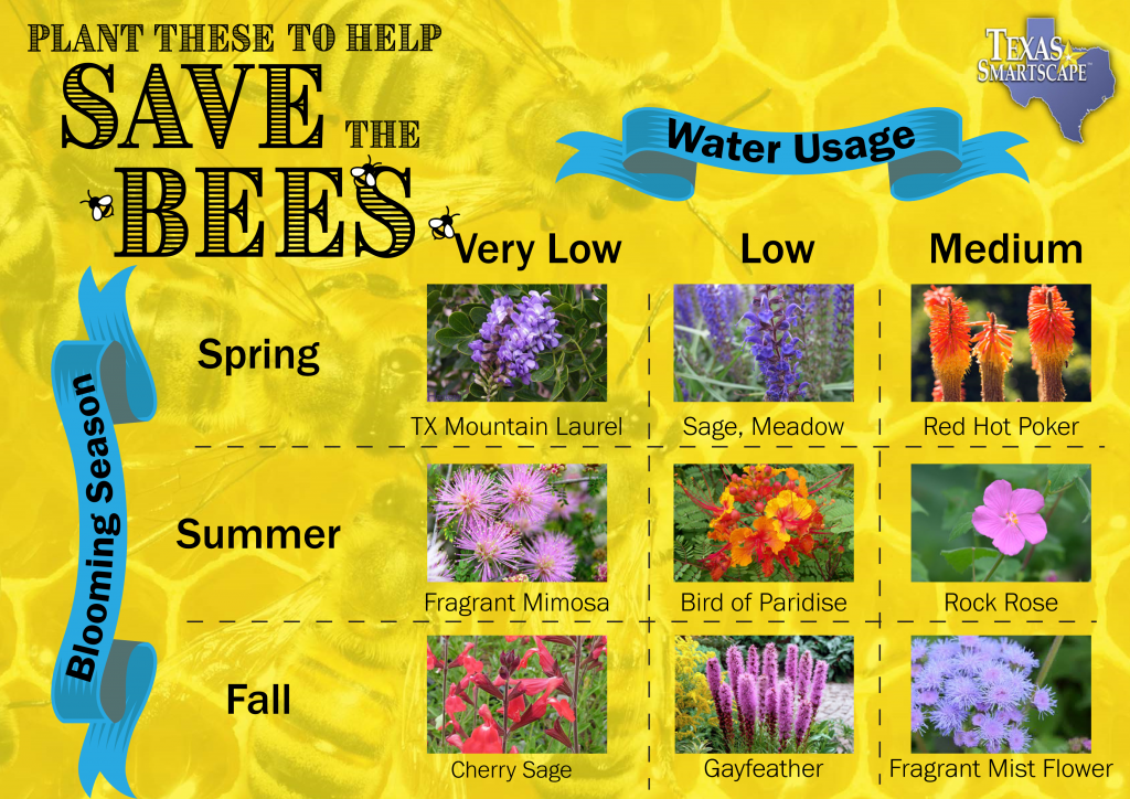 Plants that attract and support bees