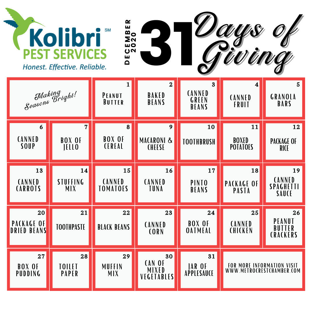 31 Days of Giving donation calendar