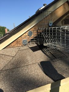 Example of an exclusion device installed on a roof