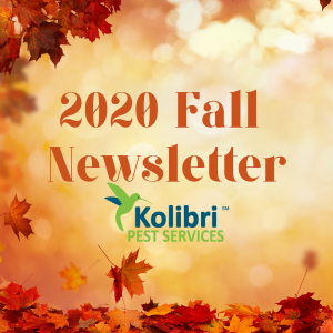 Fall 2020 Newsletter from Kolibri Pest Services