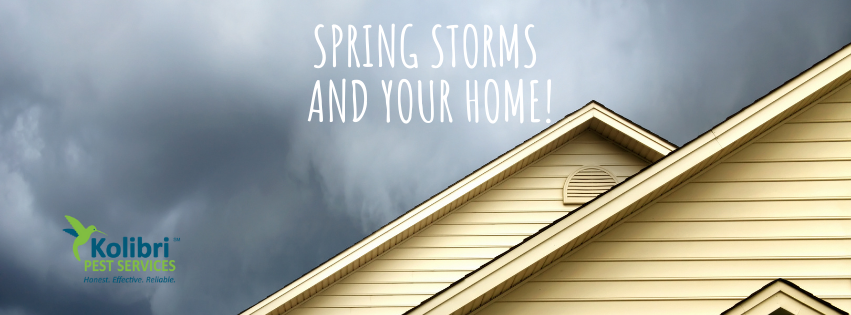 Spring storms can damage your home and create pest entry points