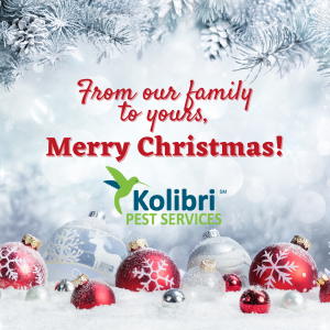 Tom Wright, owner of Kolibri Pest Services